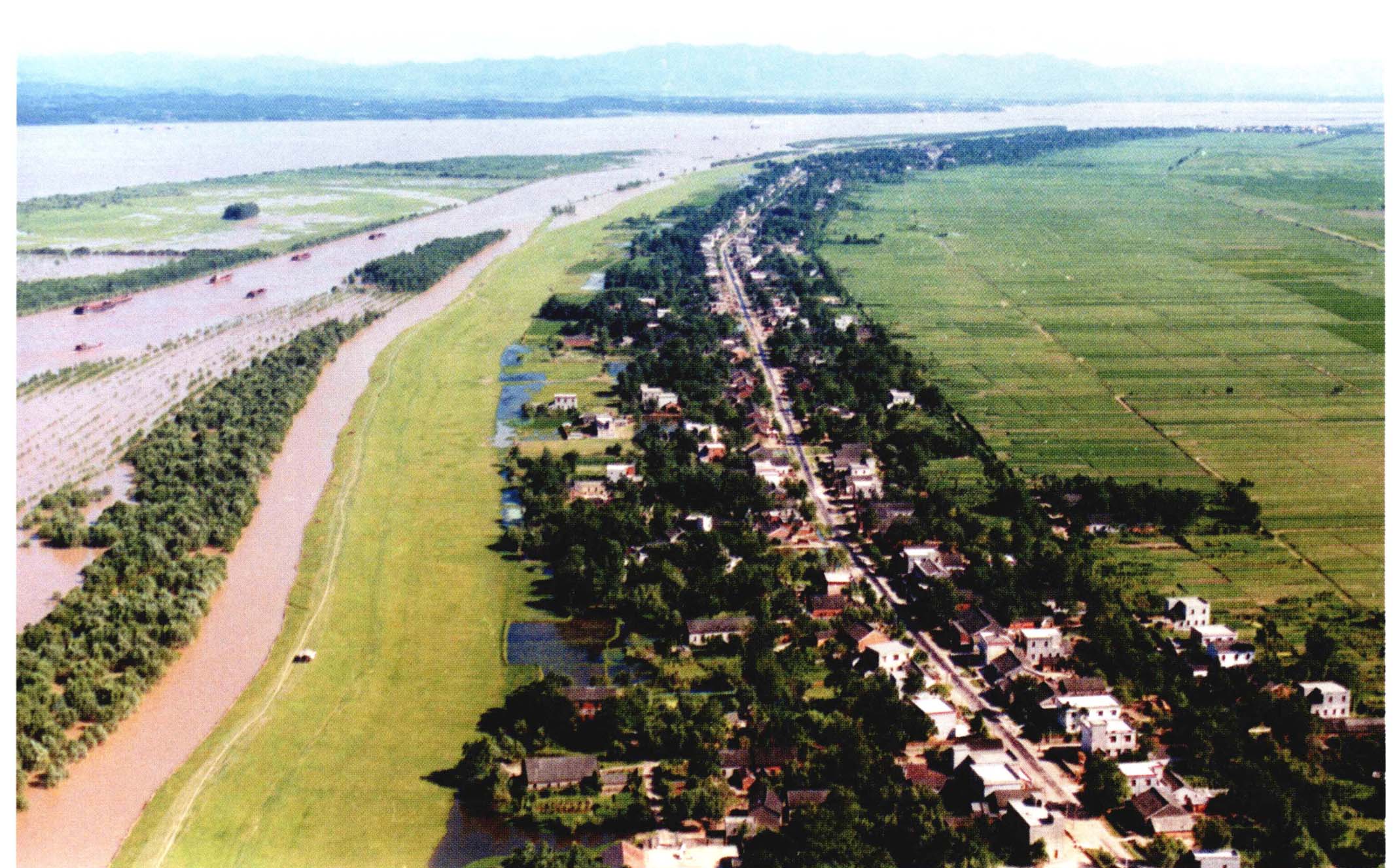 同马大堤-知识服务助手