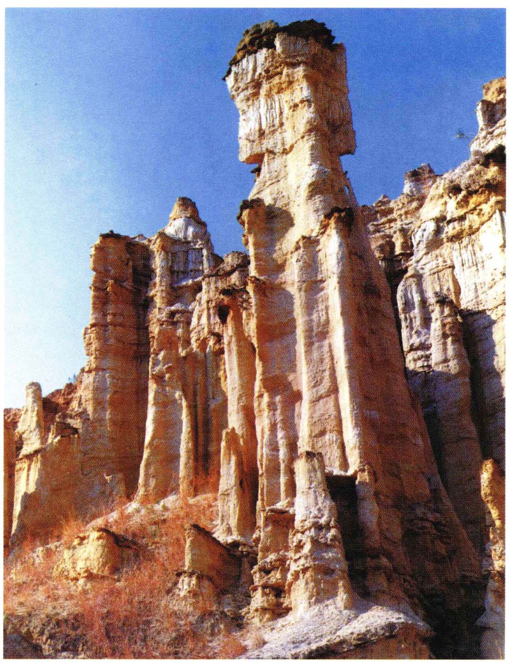 节理-知识服务助手